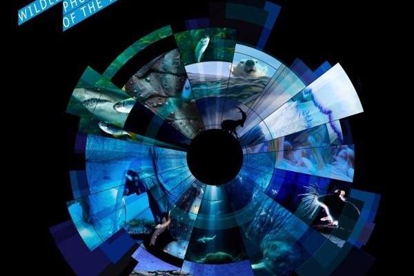 Fotograf Dzikiej Przyrody Roku 2016