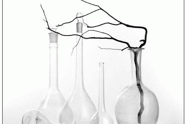 Muzealne spotkania z fotografią