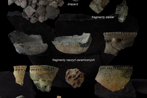 Ratownicze badania wykopaliskowe w obrębie wielkiej osady neolitycznej w Zawichoście-Podgórzu w latach 2014-2015
