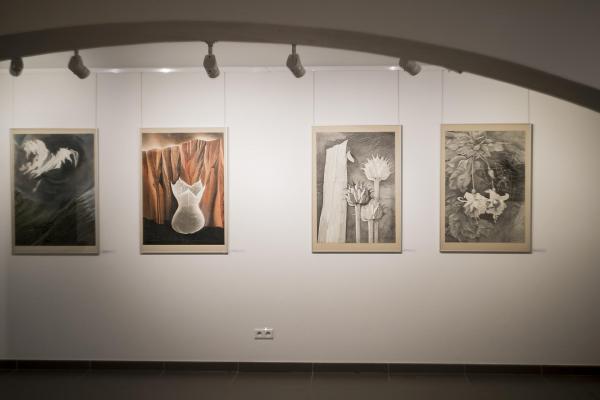 Wystawy w BWA Kielce - Fot. Małgorzata Chmiel