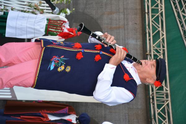 Koncert Laureatów 45. Buskich Spotkań z Folklorem w WDK - foto Krzysztof Herod