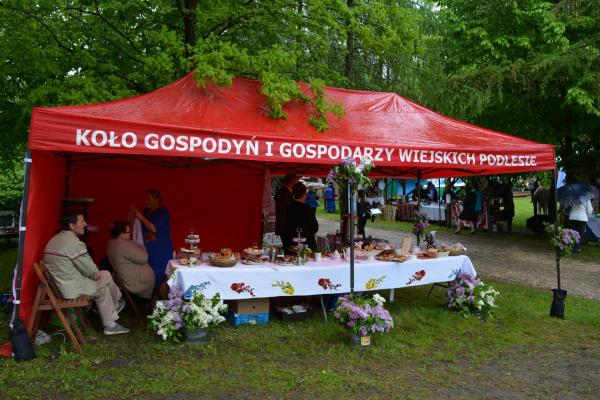 Fot. Agnieszka Markiton