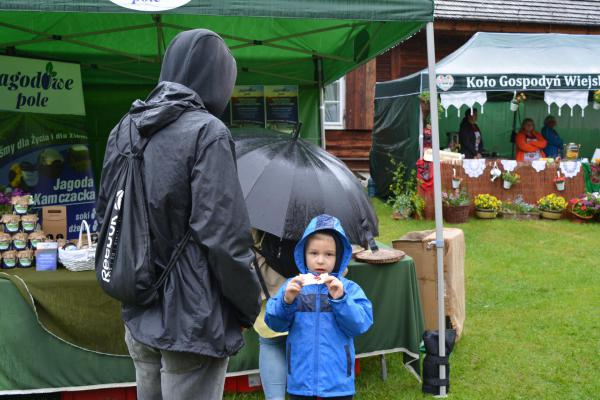 Fot. Agnieszka Markiton