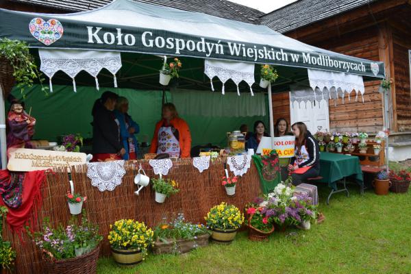 Fot. Agnieszka Markiton