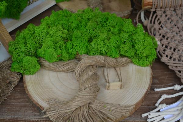 Fot. Agnieszka Markiton