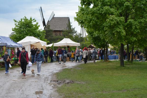 Fot. Agnieszka Markiton