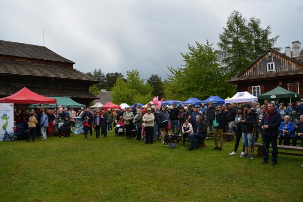 Fot. Agnieszka Markiton