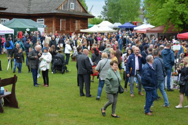 Fot. Agnieszka Markiton