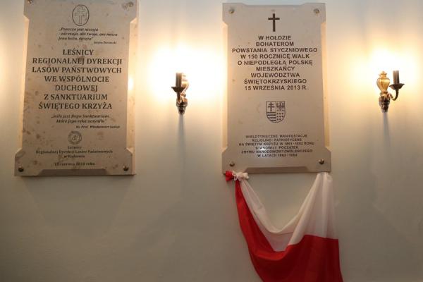 159. rocznica bitwy pod Świętym Krzyżem - fot. Damian Więch