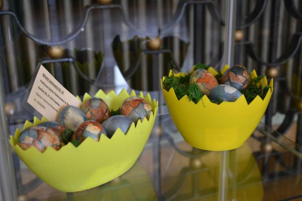 Fot. Agnieszka Markiton