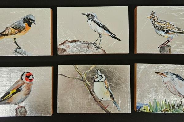 Fot. Agnieszka Markiton