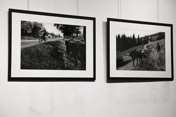 Fot. Katarzyna Zawadzka