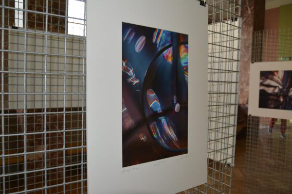 Fot.: Inga Pamuła (PIK)