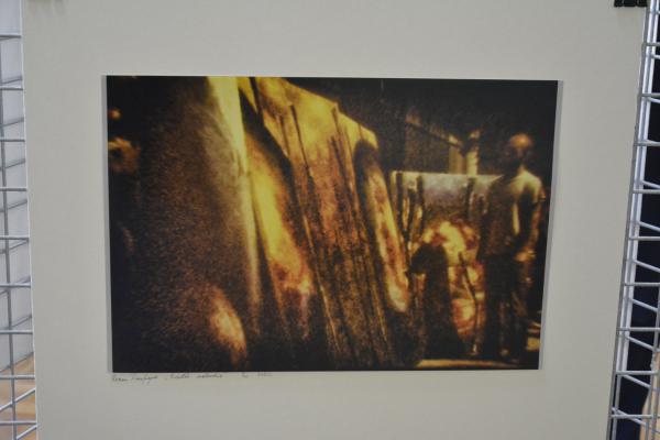 Fot.: Inga Pamuła (PIK)