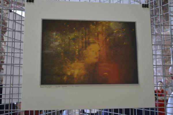 Fot.: Inga Pamuła (PIK)