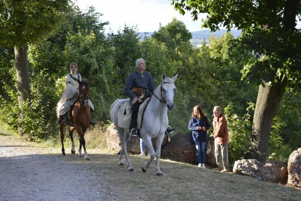 Fot.: Inga Pamuła (PIK)
