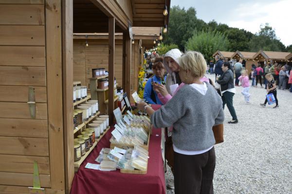 Fot.: Inga Pamuła (PIK)