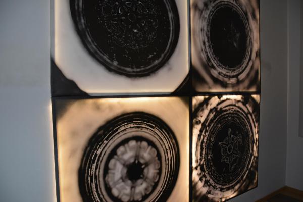 Fot.: Inga Pamuła (PIK)