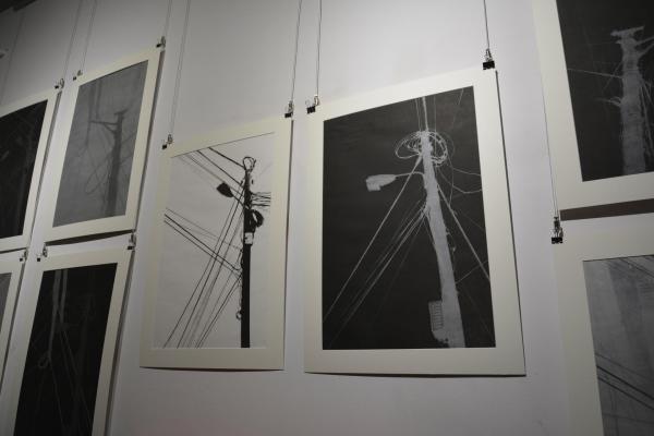 Fot.: Inga Pamuła (PIK)