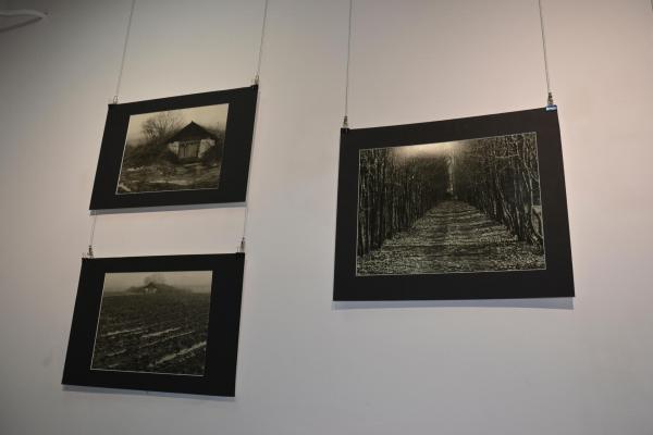 Fot.: Inga Pamuła (PIK)