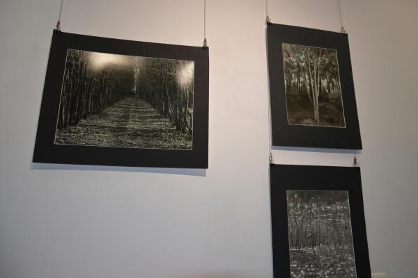 Fot.: Inga Pamuła (PIK)