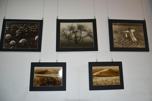 Fot.: Inga Pamuła (PIK)