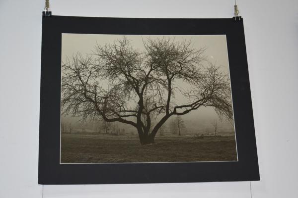 Fot.: Inga Pamuła (PIK)