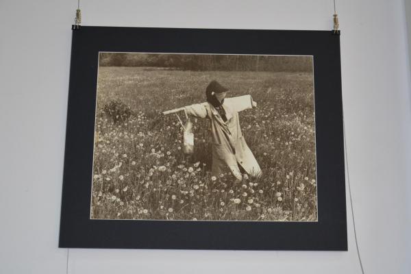 Fot.: Inga Pamuła (PIK)