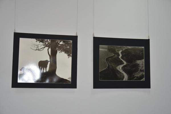 Fot.: Inga Pamuła (PIK)