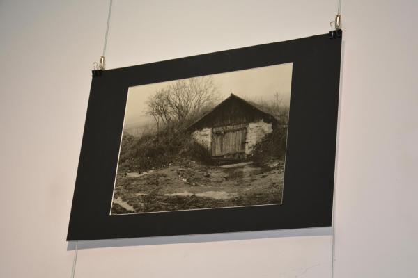 Fot.: Inga Pamuła (PIK)