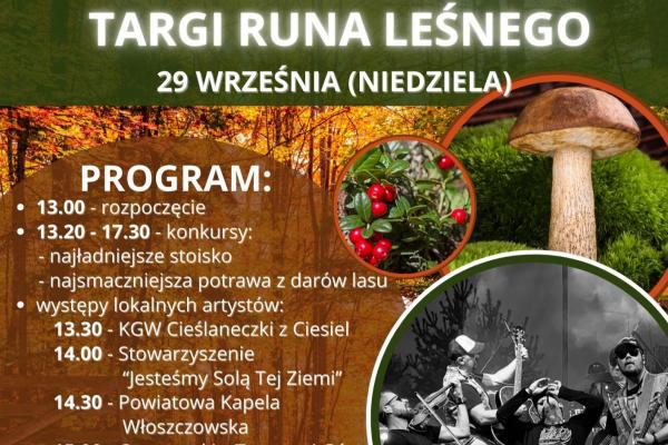 XIII Włoszczowskie Targi Runa Leśnego