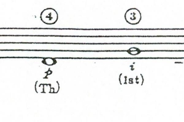  Notacja nutowa - ćwiczenia na pustych Ćw. 2