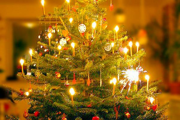 Boże Narodzenie: symbolika jodły w kulturach świata