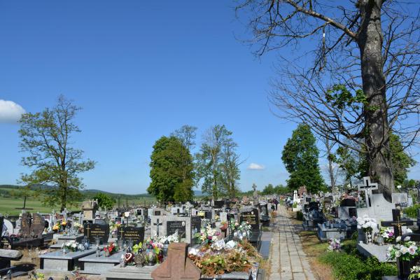 Alejka prowadząca do grobu - Fot. Agnieszka Markiton