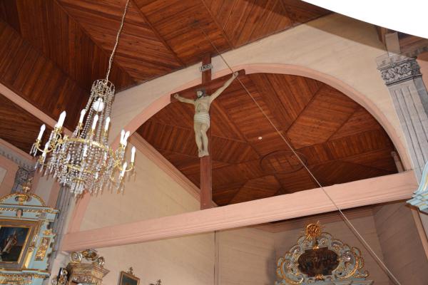 Belka tęczowa - Fot. Agnieszka Markiton