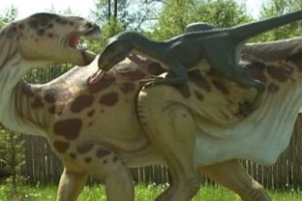 Bałtowski Park Jurajski - Spotkanie oko w oko z dinozaurem.