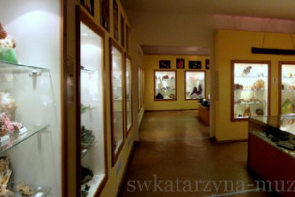 Muzeum Minerałów i Skamieniałości w Świętej Katarzynie poleca