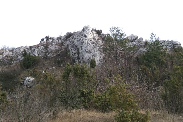 Rezerwat Przyrody Góra Miedzianka
