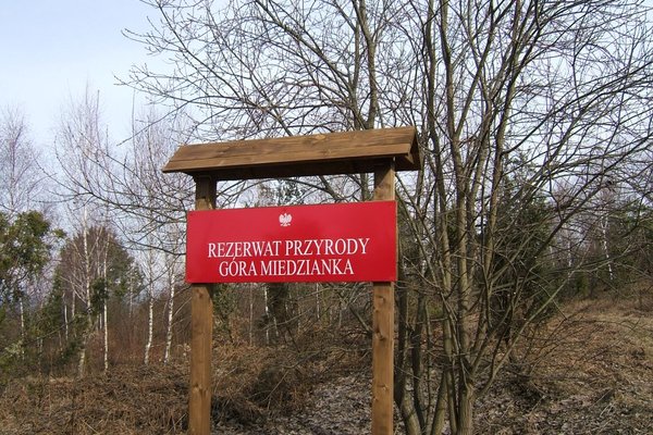 Rezerwat Przyrody Góra Miedzianka - Fot. Agnieszka Markiton
