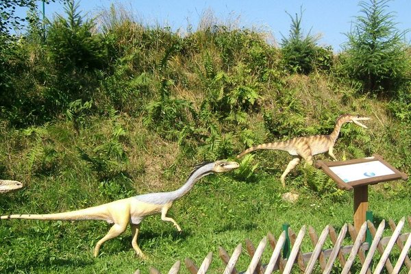 Bałtowski Park Jurajski - Ornitholesies, Ouiraptor