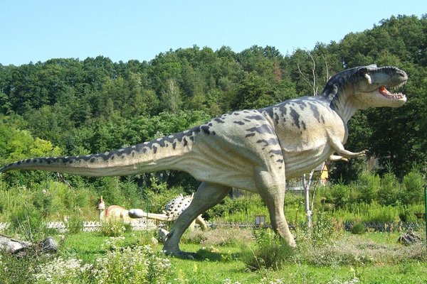 Bałtowski Park Jurajski - Allosaurus