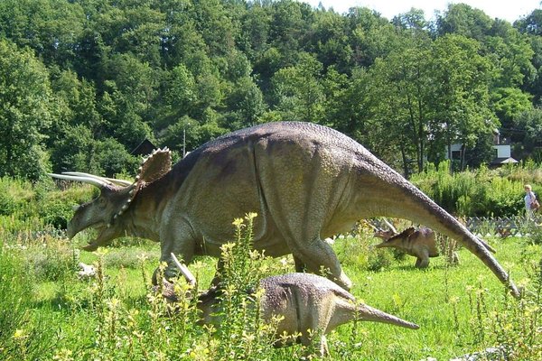 Bałtowski Park Jurajski - Triceratops