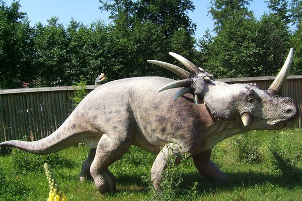 Bałtowski Park Jurajski - Chasmosaurus