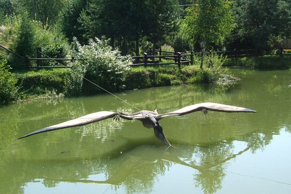 Bałtowski Park Jurajski - Pteranodon