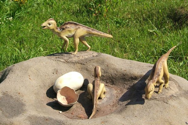 Bałtowski Park Jurajski - Małe Korytozaury