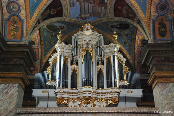 Katedra - Organy