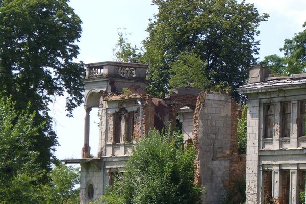 Pałac rodziny Karskich we Włostowie - Ruiny otaczają pozostałości parku.  Fot. Edyta Ruszkowska