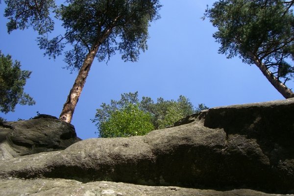 Sielpia i okolice - Gatniki -wychodnie skał przy szlaku turystycznym. Fot. Edyta Ruszkowska