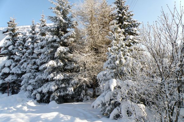 Zima w górach - Fot. Edyta Ruszkowska
