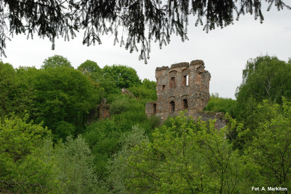 Międzygórz - Zamek - Zamek wzniesiony w połowie XV w.